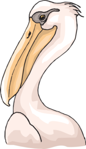 Pink Pelican Head Clip Art